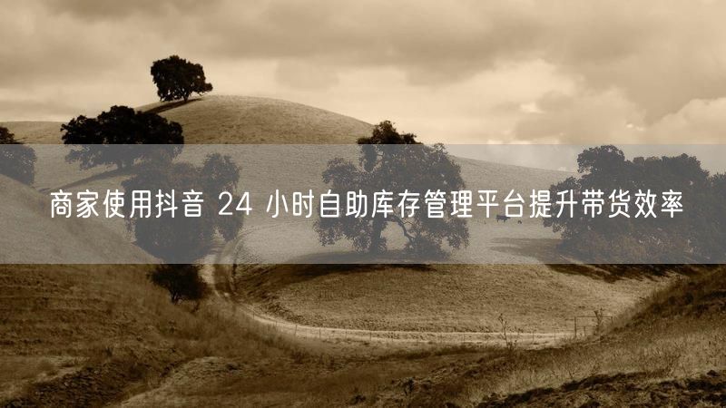 商家使用抖音 24 小时自助库存管理平台提升带货效率