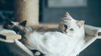宝妈群体在抖音利用碎片时间合法赚钱的实操方案